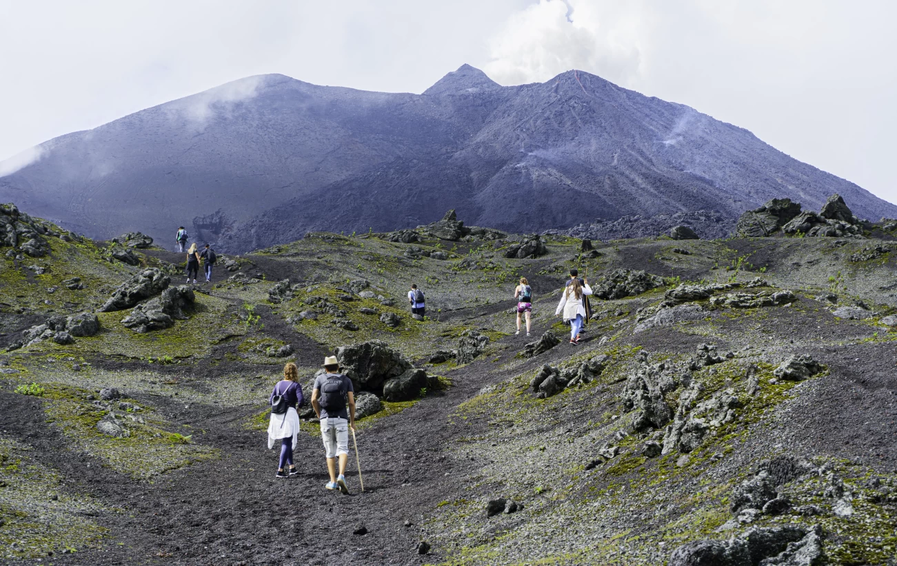 Pacaya volcano a tourist attraction