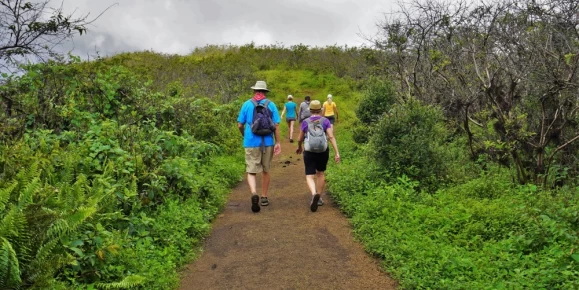 Hiking Sierra Negra