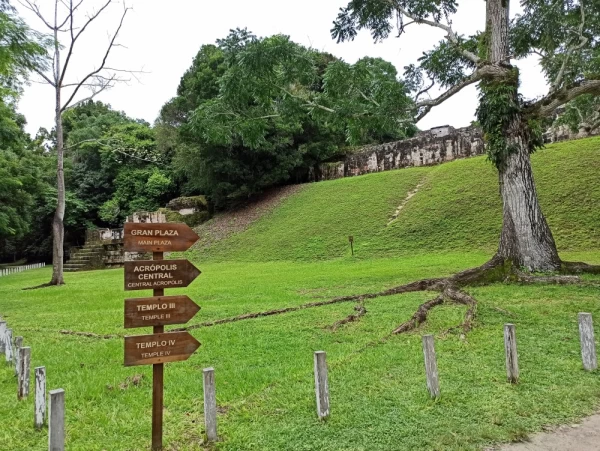 Sign posts Pointing the Way to the Great Plaza in Tikal National Park