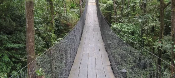 Hanging bridge at the Arenal Observatory Lodge