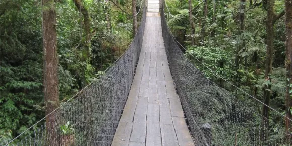Hanging bridge at the Arenal Observatory Lodge