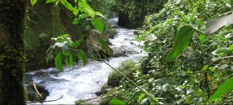 River near Arenal
