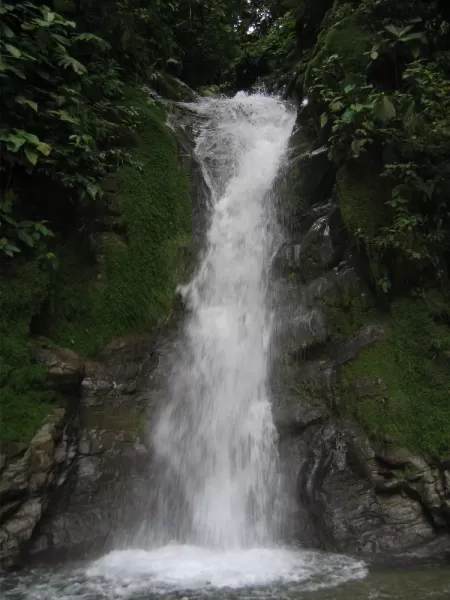 Waterfall at Selva Bananito