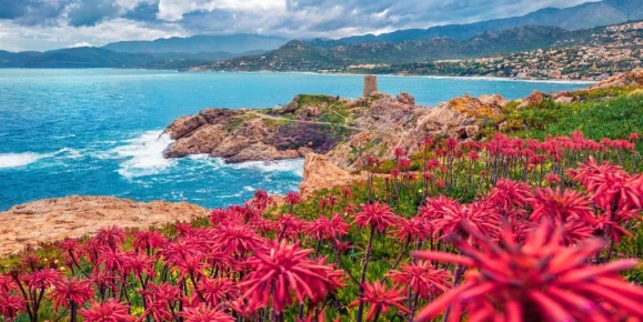 Breathtaking views of Saint-Florent, Corsica — where vibrant wildflowers meet the rugged coastline and turquoise waves crash under dramatic skies.