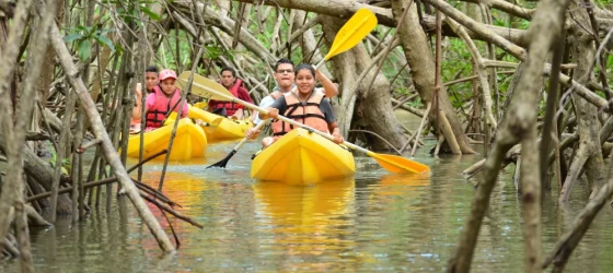 Damas Island Kayaking