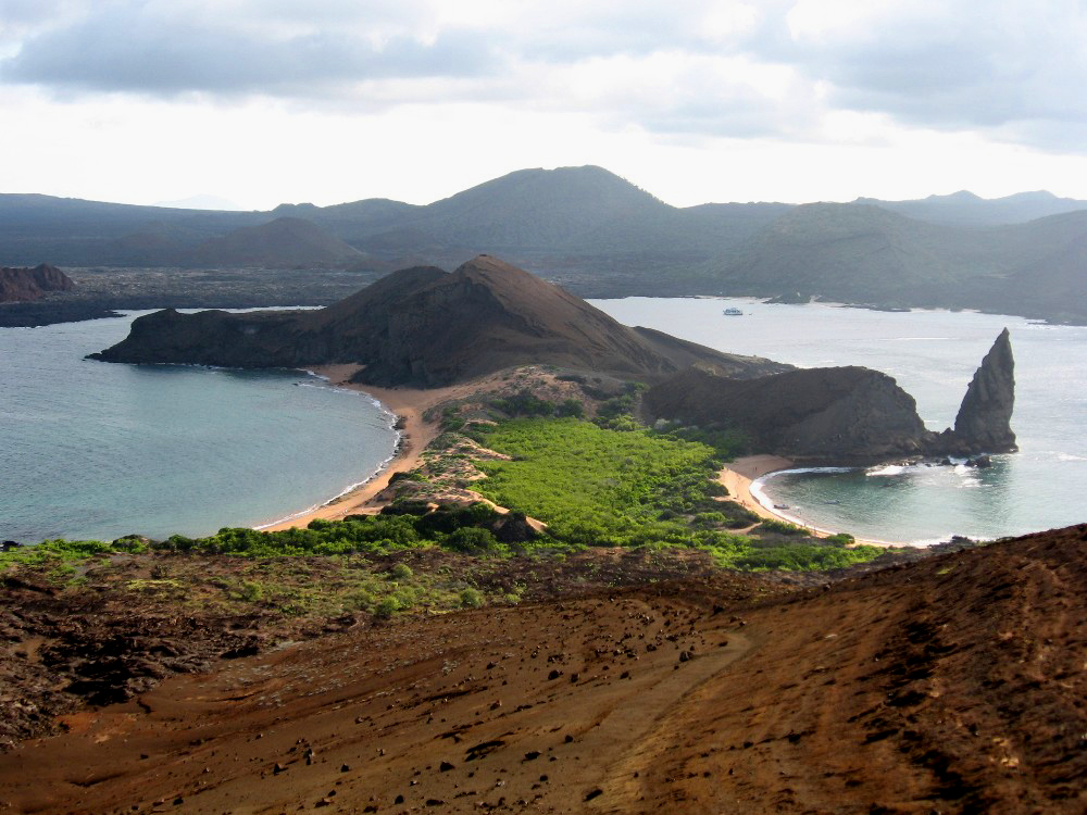 1 Best Bartolome SCUBA Diving Trips & Liveaboard Cruises for 20242025