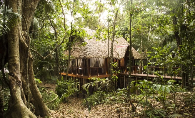 Nua Spa