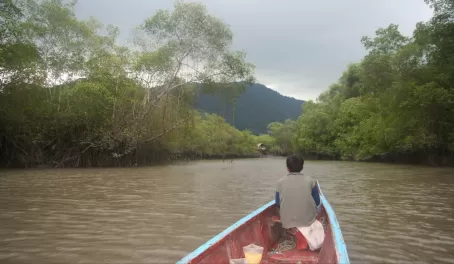 Canoeing in the Churute Reserve