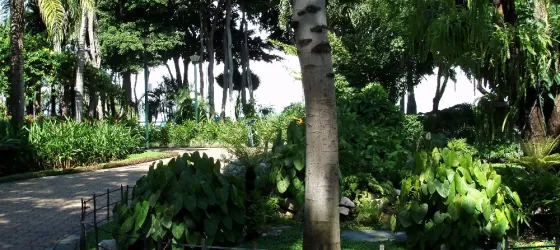 Botanical garden in Guayaquil