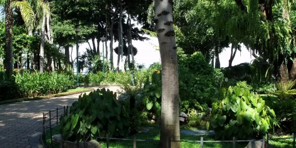 Botanical garden in Guayaquil