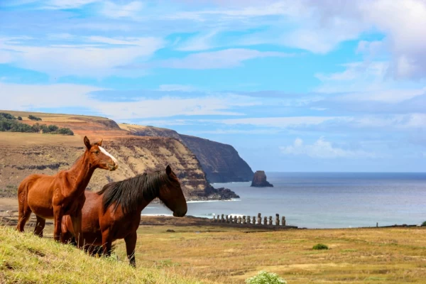 Moai on Easter Island