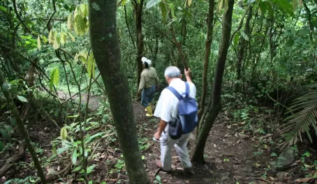 Hike at Churute Reserve, listen to the Howler monkeys!