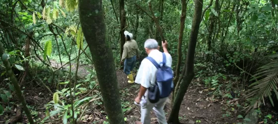Hike at Churute Reserve, listen to the Howler monkeys!