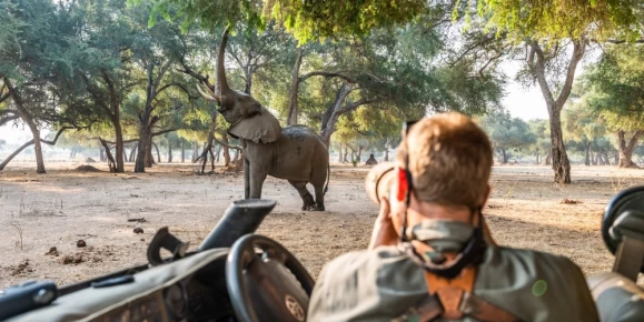 Game Drives in Chula Island Camp