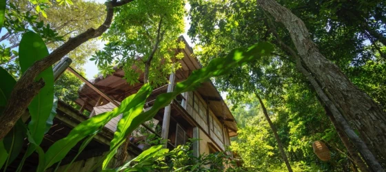 Mango Bay Resort
