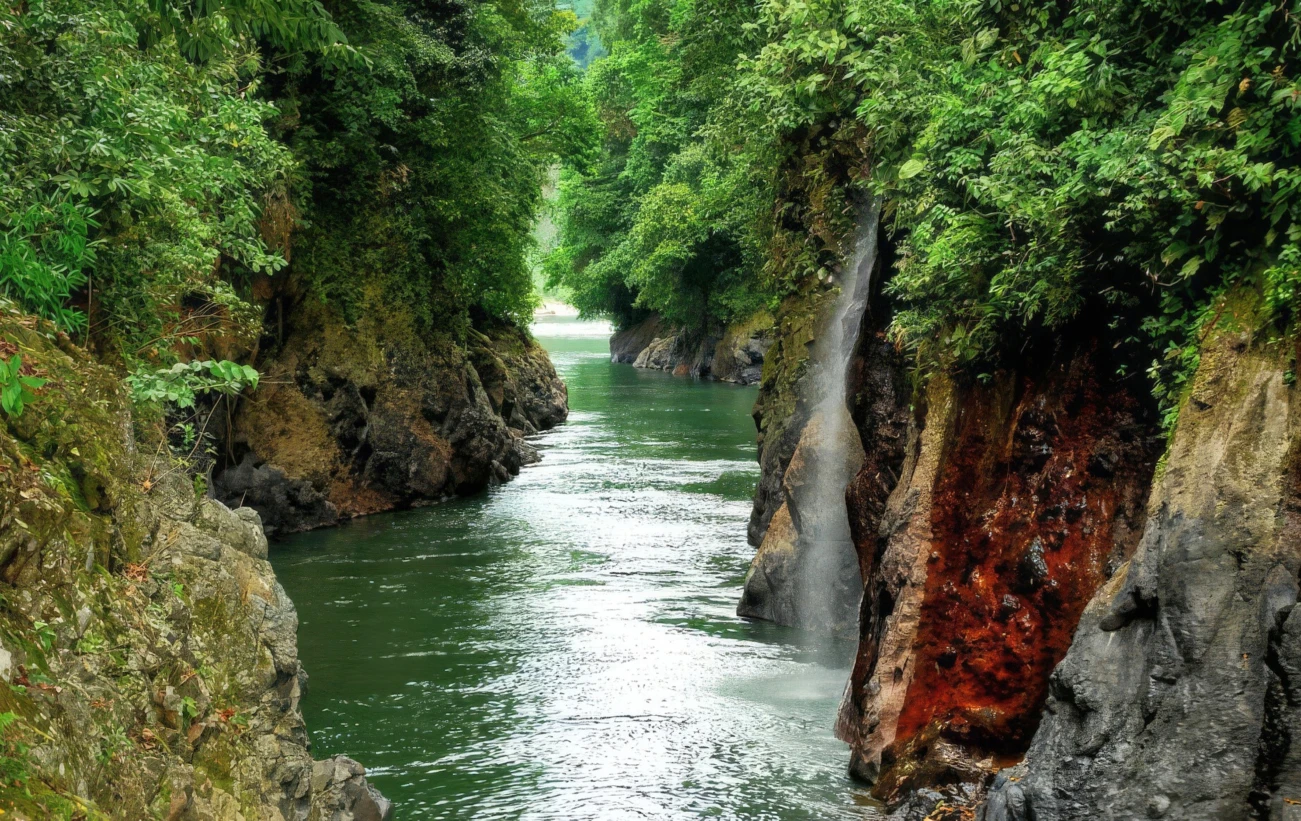 Pacuare River