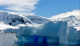 Iceberg at Mikkelsen Harbour