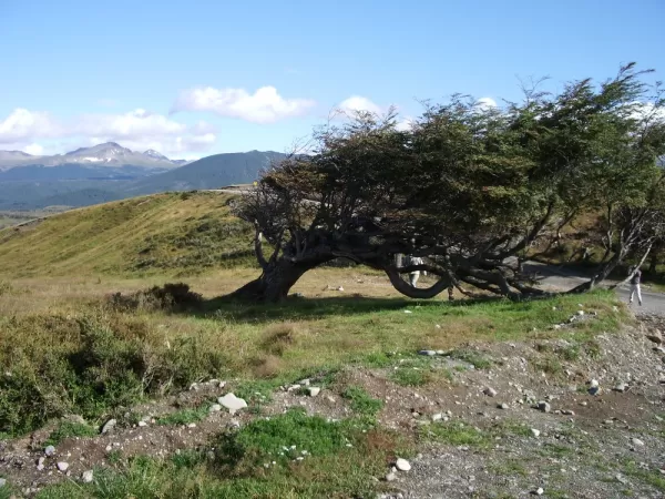 The power of wind, Tierra del Fuego