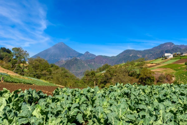 Santa María Volcano in the background, near Quetzaltenango (Xela), Guatemala.