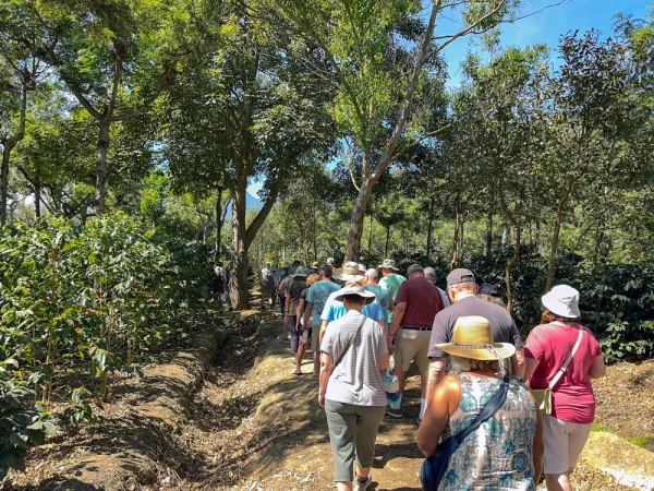 People visiting a coffee plantation in Antigua