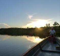 The Amazon