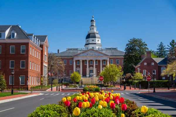 Tulips bloom before Maryland’s State House in Annapolis