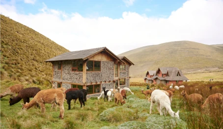 Chimborazo Lodge
