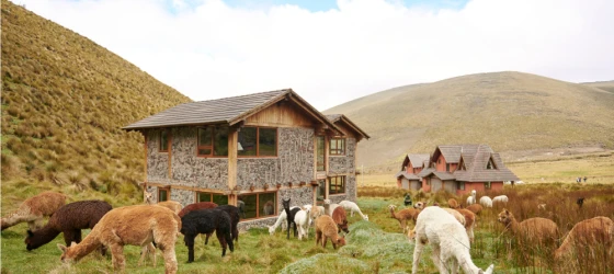 Chimborazo Lodge