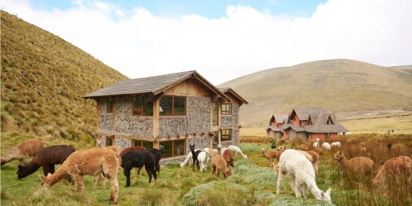 Chimborazo Lodge