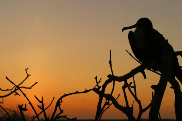 Sunset in the Galapagos