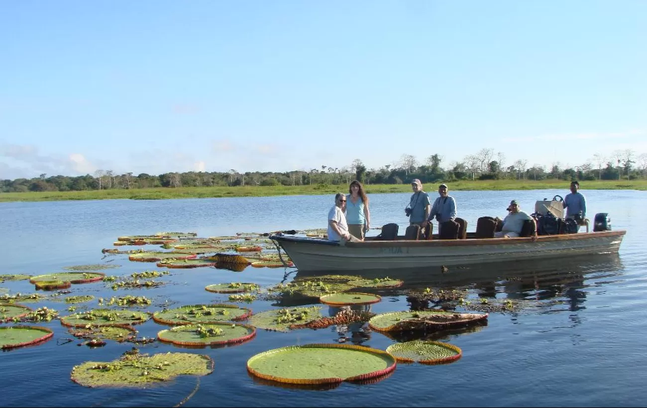 Cruising amongst giant lily pads in the Amazon