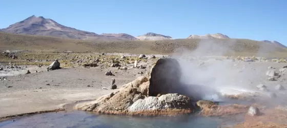 Hot spring in the Atacama