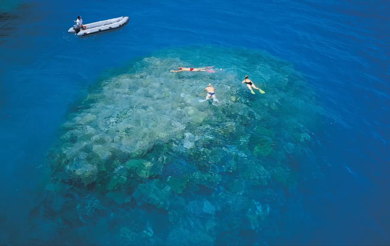 Snorkelers exploring the Great Barrier Reef.
