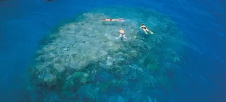 Snorkelers exploring the Great Barrier Reef.