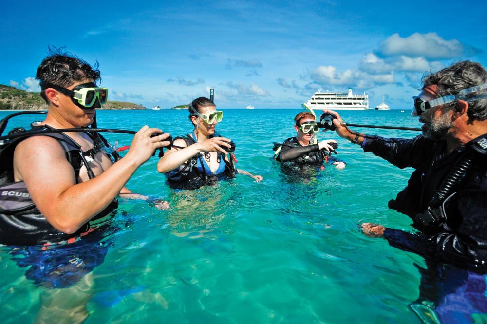 5 Best Wolf Island Trips, Tours & Cruises for 2024