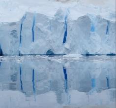 Reflections from the Bottom of the World