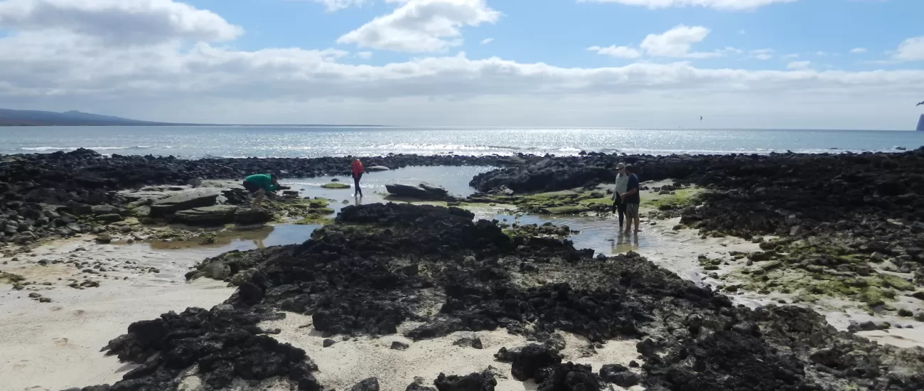Exploring tidal pools for critters in the Galapagos