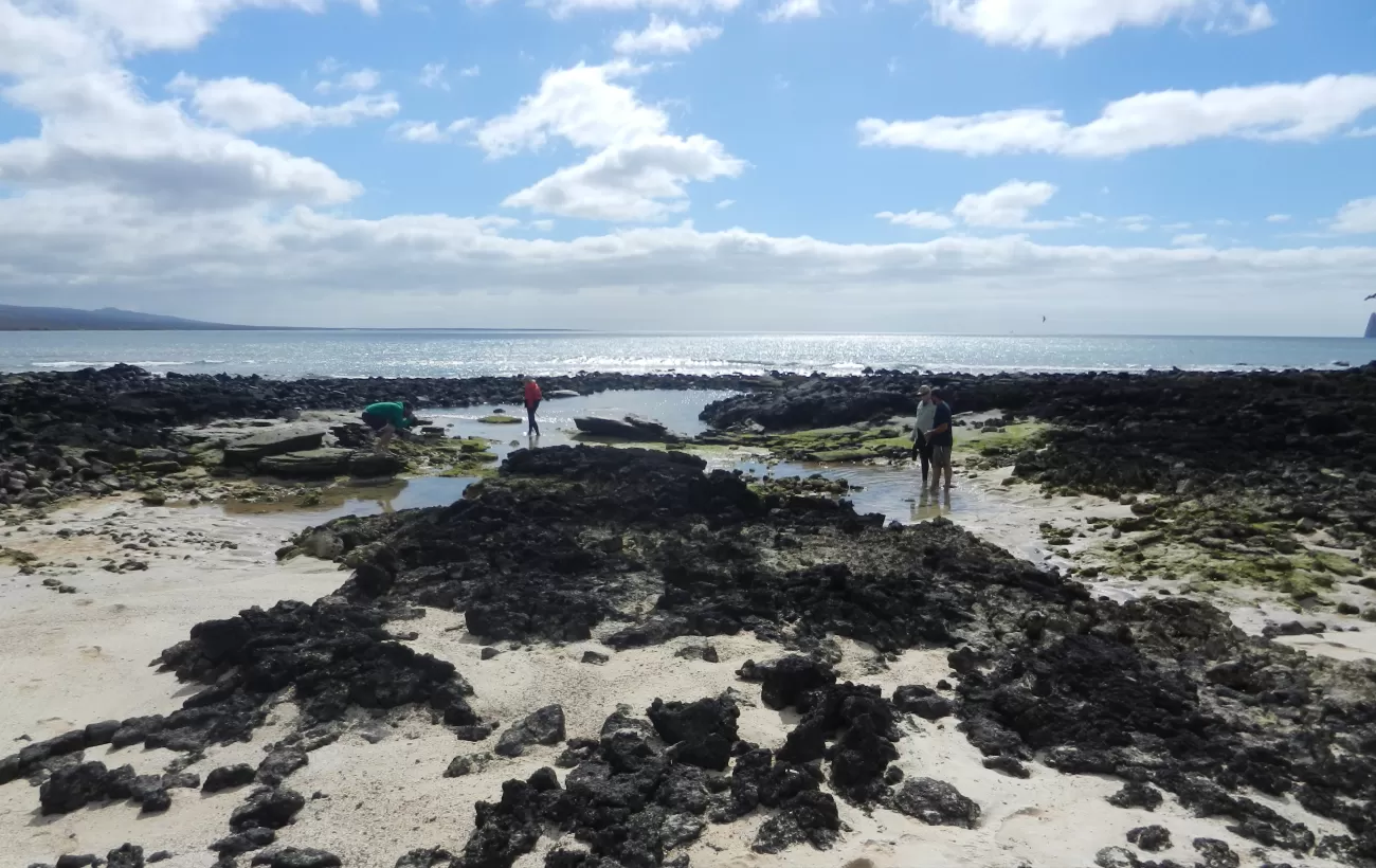 Exploring tidal pools for critters in the Galapagos