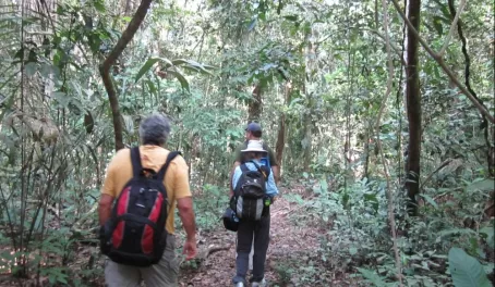 Jungle trail to Cocha Otorongo
