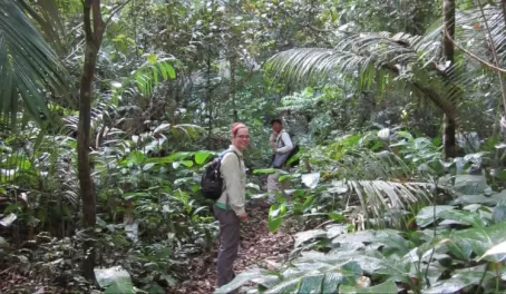 Jungle trail heading back to Cocha Salvador in Manu