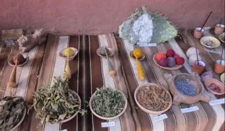 The plants (and bugs) used to dye the fabric