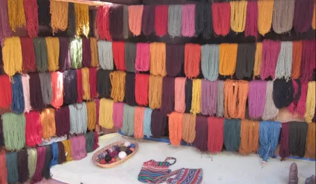 All the beautiful yarn!! And all naturally dyed