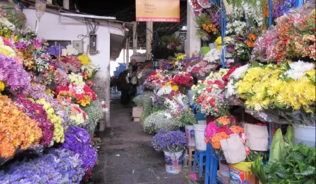 Cusco Market: Flower Section