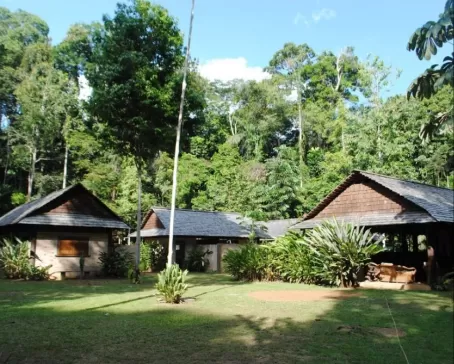 The lodge offers complete immersion into the rainforest experience