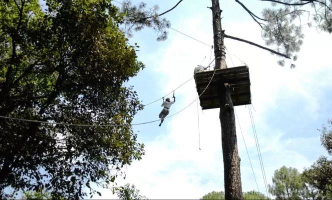 Soar through the forest canopy on the zipline system 