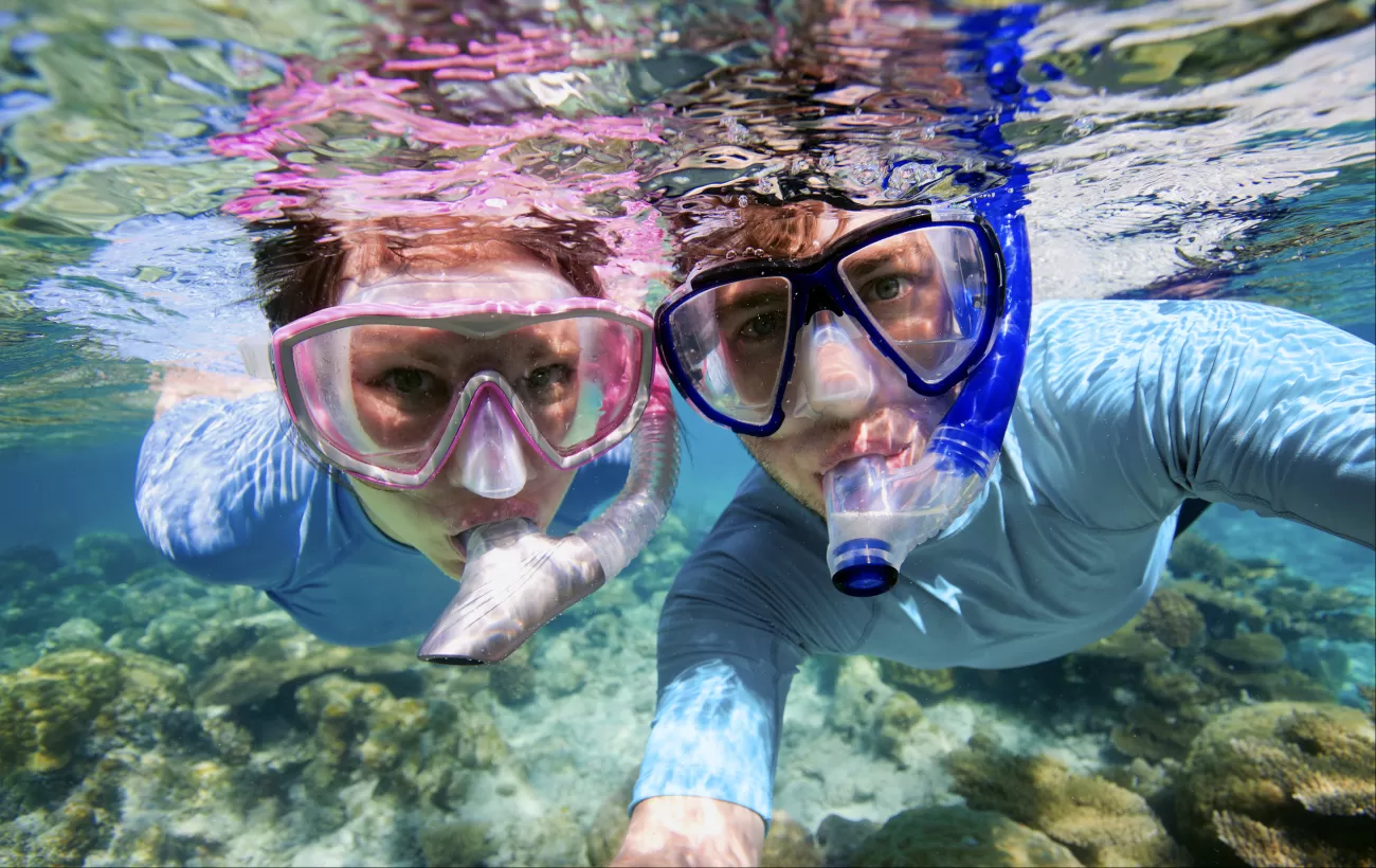 Enjoy a blissful snorkeling trip.