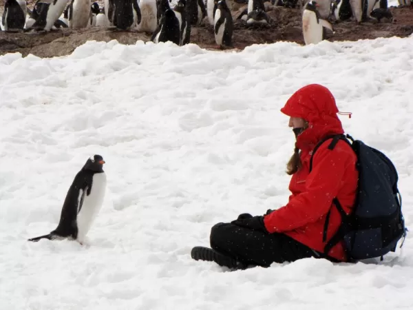 Beth meets a penguin
