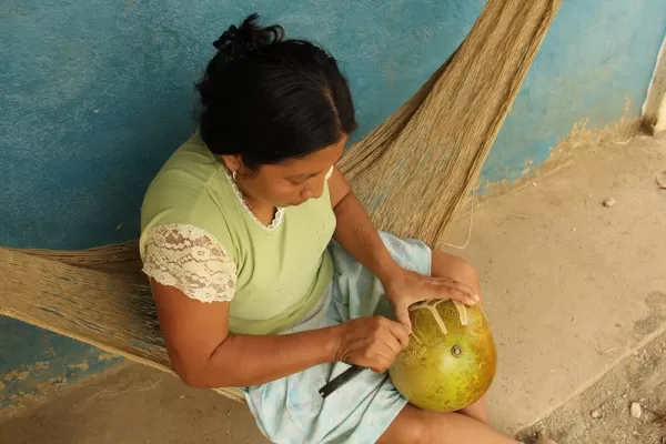 Coconut carving - The Living Maya Experience