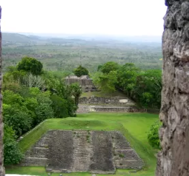 View of the Belizean rainforest from Xunantunich ruins