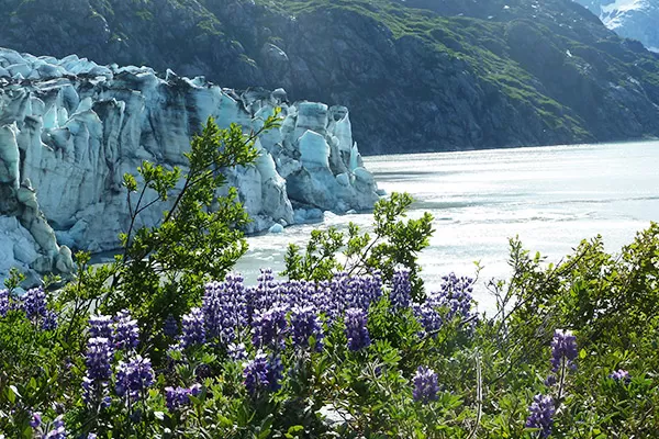 Visit Glacier Bay National Park, UNESCO World Heritage Site